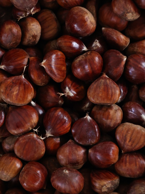 Natürel Aydın Kestanesi – 1000 Gr Silindir Kutu 2’li Set, XXL Jumbo Boy Kestane