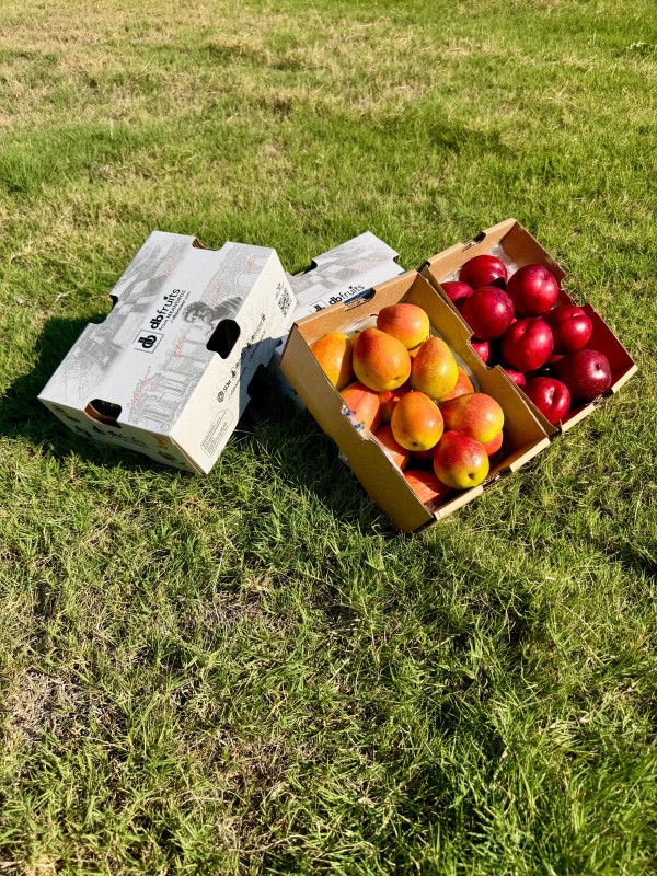 Armut - Nektarin (2 KG + 2 KG)