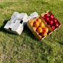 Armut - Nektarin (2 KG + 2 KG)