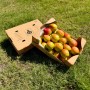 Armut - 5 KG