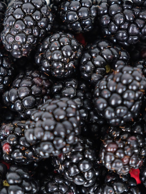 Böğürtlen - 500 GR