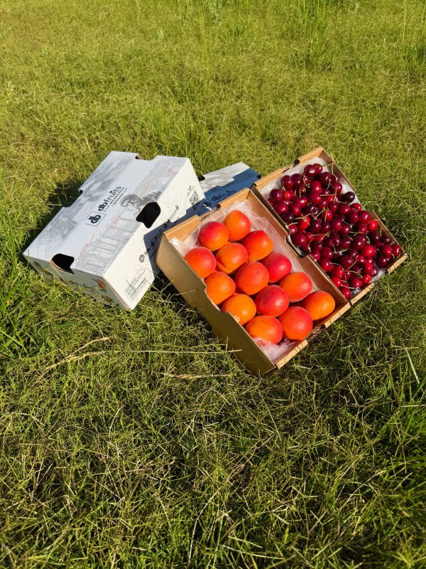 Kayısı - Kiraz (2 KG + 2 KG)