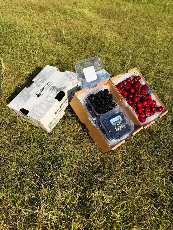Kiraz - Böğürtlen (2 KG + 125'er GR'lık 6 Lüks Kutu)