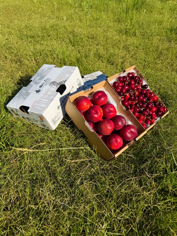 Kiraz - Nektarin (2 KG + 2 KG)