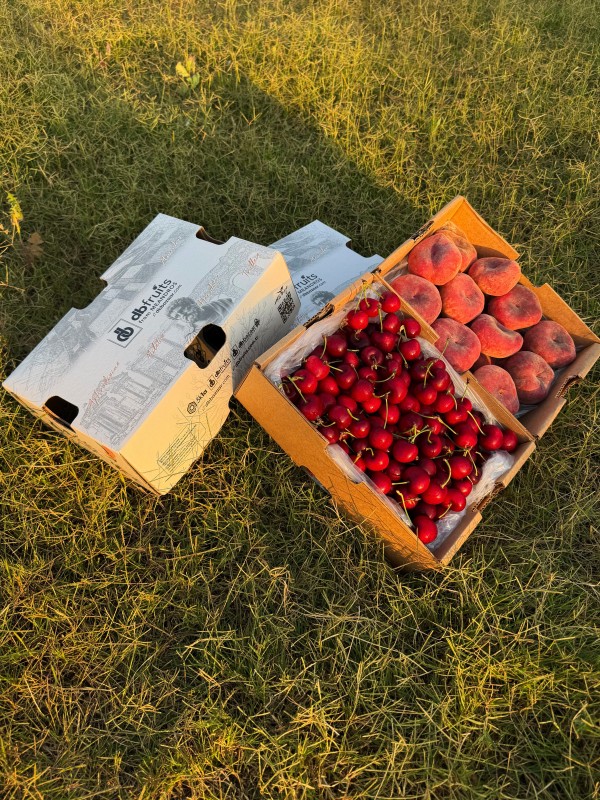 Yassı Şeftali - Kiraz (2 KG + 2 KG)