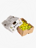 Organik Aydın İnciri - ~1,7 KG