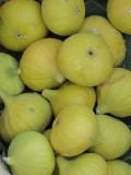 Organik Aydın İnciri - ~1,7 KG