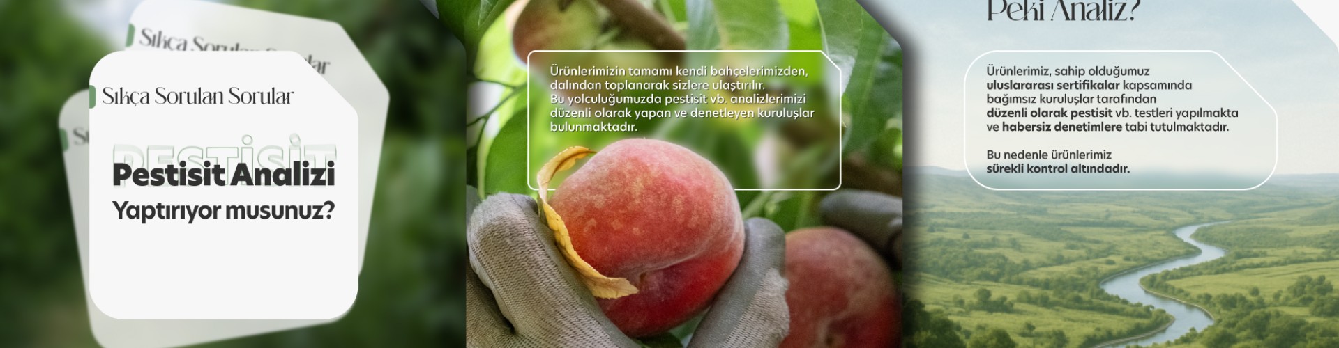 Sertifikalar ve Pestisit Analizi