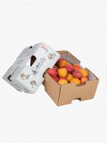 Kayısı - 2 KG Kayısı - 2 KG