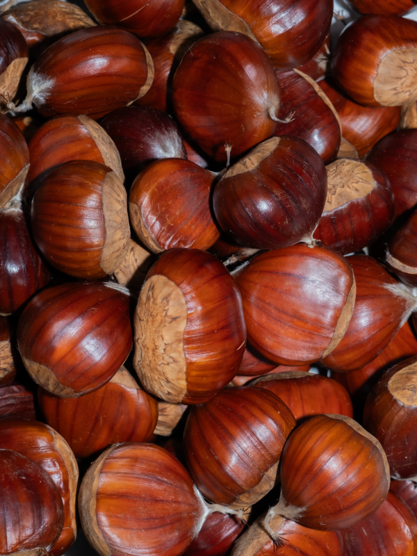 Organik Aydın Kestanesi – 1000 Gr File Paket 3’lü Set, Orta Boy Kestane