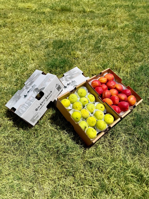 Natürel Aydın İnciri - Kayısı (~1,7 KG + 2 KG)