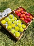 Natürel Aydın İnciri - Kayısı (~1,7 KG + 2 KG)