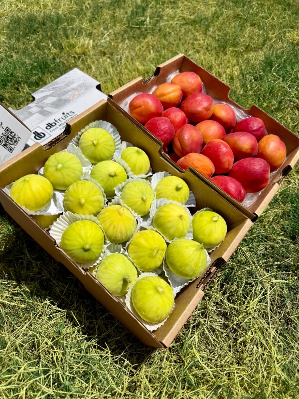 Natürel Aydın İnciri - Kayısı (~1,7 KG + 2 KG)