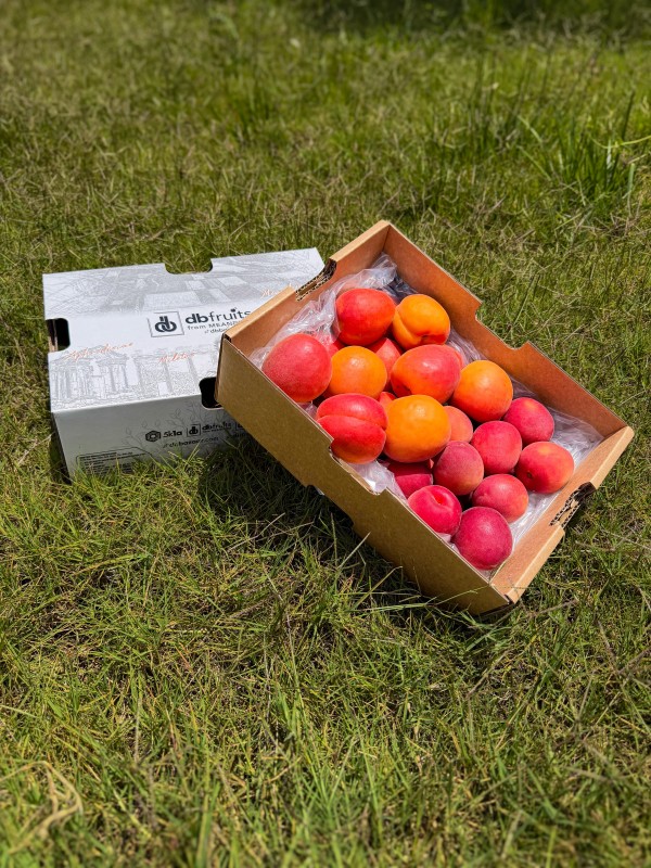 Kayısı - 2+2 KG (4 KG)