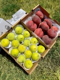 Natürel Aydın İnciri - Yassı Şeftali (~1,7 KG + 2 KG)