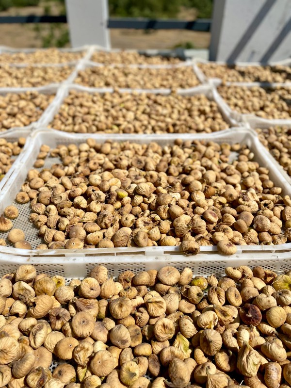 İncir ve Kestane Başlangıç Paketi